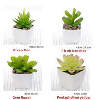 12 Styles Green Artificial Succulents Plants for Home Garden Decoration Wedding Wall Flower Arrangement Bonsai Fake Rose Red