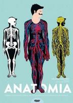 Anatomy. The image of the human body...
