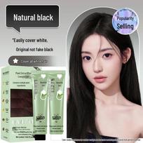 Qingsi Plant-Based Hair Dye Cream: Non-Damaging, Gray-Covering, Trendy Cool Brown Salon Color. 720ml