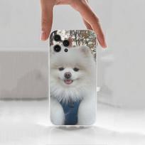 Cute P-Pomeranian Dogs Case For iPhone 17,11,12,13,16,14,15,Pro,Max,Plus,X,XS,XR,SE,Mini Transparent Soft Silicone iPhone16se4