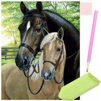 Diamond Painting Embroidery 5D Diamond Mosaic Kit Horses