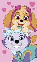 SKYE EVEREST PAW PATROL Preschool Towel Children's Cotton 30 x 50 cm for Face and Hands