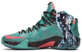 Nike LeBron 12 Akron Birch 707558-363 45
