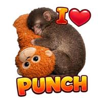 Protect Punch The Monkey Decals Car Laptop Sticker Cute Monkey Holding Plush Toy 1pc
