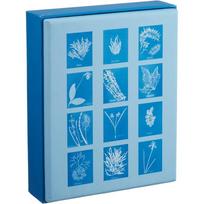 Sunprint Notecards: The Cyanotypes of Anna Atkins (12 notecards; 12 designs; matching envelopes; keepsake box): The Cyanotypes of Anna Atkins