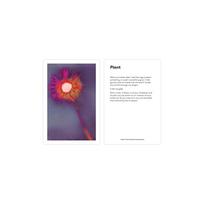 The Grief Deck: Rituals, Meditations, and Tools for Moving through Loss