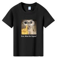 Kids Casual Cartoon Boy T-Shirts ERM What the Sigma? T Shirt Boys Short Sleeve Baby Girls Summer Clothes Teens Top Kids Clothing 100cm juoda