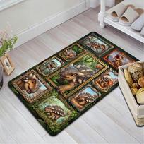 Dinosaur Collection Pattern Rug Floor Mat for Living Room or Bedroom Soft and Comfortable Carpet a Gift for Birthday and Holiday. 40x60cm( 15x23in )