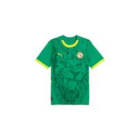 Puma Senegal 2025 graphic T-shirt 777166-03 XL