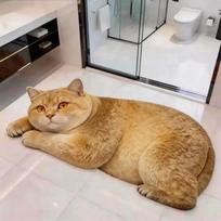 Realistic Bathroom Carpet 40×60CM 50×80CM Bedroom Door Rug Creativity 3D Cat Floor Mat  Home Decor 40×60CM-Style-E