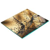 Glass Kitchen Cutting Board With Decorative Dandelion Graphics 60X52 Cm
