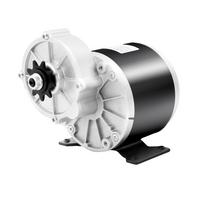 MY1016Z 350W 24V Elektrinis reduktorinis variklis 300 RPM, Didelio sukimo momento šepetėlinis variklis E-dviratiui, paspirtukui, mopedui, žemės ūkio technikai, „pasidaryk pats“ juoda