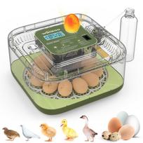 12 Eggs Incubator For Hatching Eggs, Temp And Humidity Control, 360°View Auto Water Adding, Egg Candler Egg Turning Countdown Ha AU-PLUG