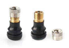 Ninebot Max G30 Tubeless Tire Valve