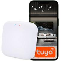 ZHUB-W Zigbee Tuya Gateway