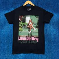 Lana Del Rey “Hinterland Tour Festival” Graphic T-Shirt Size Small Unisex T-Shirt XL