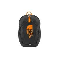 The North Face Mini Recon 19.5L Atsitiktinis Didelis Logotipas Spausdintas Spalvų Blokas Užtrauktukas Kuprinė Unisex Kuprinė Pilka NF0A52VX-GREY Mini