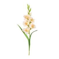Dirbtinė gladiolų gėlė Realistiška netikra šilkinė gėlė Namų biuro vestuvių vakarėlio vidaus lauko dirbtinės gėlės žydėjimo dekoracija