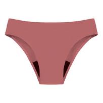 Swimwear  Menstrual Leakproof Bikini Bottom Absorbent  Pants High Waist Swimming Trunks For Teenagers Women XXXXL
