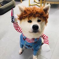 Halloween Pet Cosplay Costume Dog Dress for Small & Medium Dogs – Fun & Stylish Outfit Dogs Cats Pet Playing with Funny Clothes L mėlyna