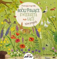 Storks and Hares. Animals in the Meadow. Field Adventures