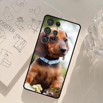 Dachshund Phone Case For Samsung Galaxy S21 S22 S23 S24 S25 S26 Ultra S10 Plus S25 FE S20 FE Back Cover Galaxy S25