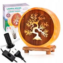 AURORA salt lamp with an openwork pendant - air ionizer