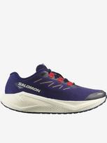 SALOMON Laisvalaikio batai, Aero Blaze 3 Grvl L47915400