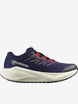 SALOMON Laisvalaikio batai, Aero Blaze 3 Grvl W L47915900