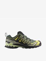 SALOMON Laisvalaikio batai, XA Pro 3D v9 GTX L47980400
