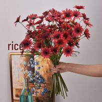 Artificial Dutch Daisy & Cosmos Chamomile Decoration Flowers raudona