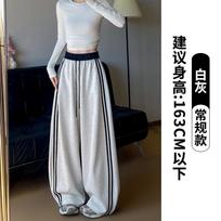 Women's High Waist Side Stripe Wide Leg Sweatpants Two Length Options Loose Drapey Casual Sports Trousers Fall Thick Cotton Pants S