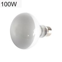 Amphibians Temperature Controller Heat Lamp UVA Light Halogen Bulb Basking Light Reptile 3