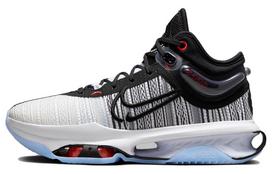 Nike Air Zoom Gt Jump 2 Modern 365 Ice Sole DJ9431-001 41