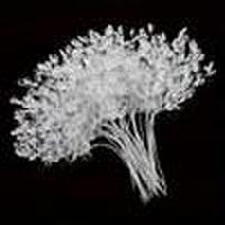 Elegant Acrylic Bead Flower Stems with Crystal Drops for Wedding Decor and Crafting - 10pcs/20pcs 10pcs