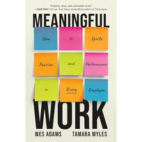 Meaningful Work: How to Ignite Passion and Performance in Every Employee