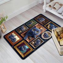 Cat Portrait Gallery Pattern Rug Floor Mat for Living Room or Bedroom Soft and Comfortable Carpet a Gift for Birthday and Holiday. 40x60cm( 15x23in )