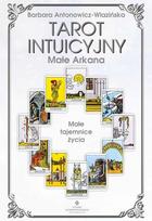 Intuitive Tarot - Minor Arcana