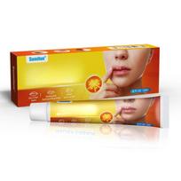 Lip Repair Cream 20g Lip Care Cream To Relieve Dryness and Exfoliation 20g