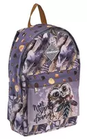 Laisvalaikio kuprinė DREAMY OWL, ErichKrause, 12L, 260g