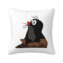 Mole Happy Krtek Square Pillowcase Cushion Cover Pillow Case Throw Pillow Cover for Home Sofa Living Room 12x12Inch