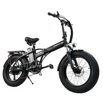 BAOLUJIE DZ2002 Fat Tire Electric Bike for Adults, 48V 16Ah Removable Battery