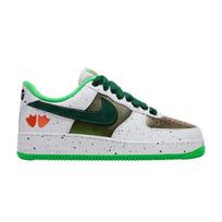 Nike Air Force 1 Low Ducks of a Feather University of Oregon Egg or Du 40.5