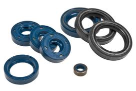 Athena engine seals/oil seals, kit, Aprilia 125 (Rotax 123)
