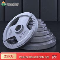 Solid Cast Iron Baked Paint Barbell Weight Plate