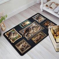Maine Coon Portraits Pattern Rug Floor Mat for Living Room or Bedroom Soft and Comfortable Carpet a Gift for Birthday and Holiday. 40x60cm( 15x23in )