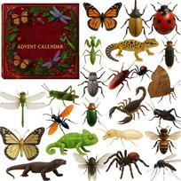 2D Acrylic Advent Calendar with Boxes for Christmas Countdown - Natural Wonder Theme One Size