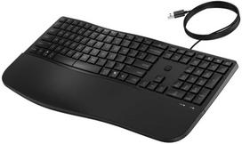 Klaviatūra HP 485 CFT WD KBD, Full-size (100%), su laidu, USB, Membrane, Juodas