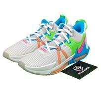 Nike LeBron Witness 7 EP Low Grey Fog Multi-Color - DM1122-003 EU 40.5