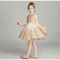 Children's Princess Dress Girl's Wedding Dress Girl Sleeveless Evening Dress Gold Sequins Dress Baby Girl Baptism Pageant Gown 90